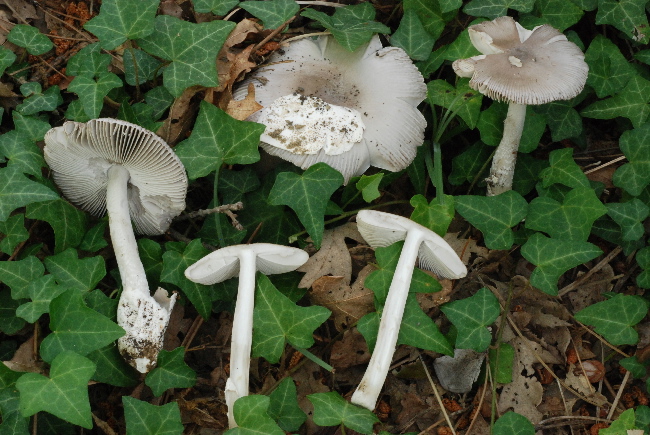 Uscita del 18 Cima di Tuoro (PG)